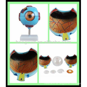 Giant Human Medical Anatomy Eye Modell, plasic Augapfel Modell